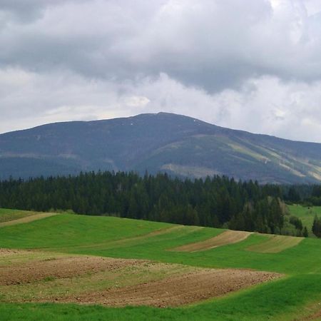 Chata Ziva Pod Babou Horou Orawska Półgóra Zewnętrze zdjęcie